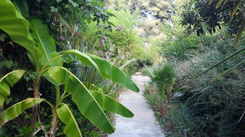 Istres Bed & Breakfast | Le Cycas de la Palmeraie