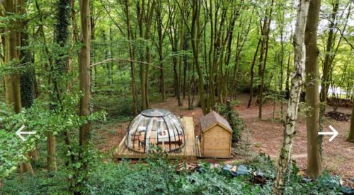 Champion Other | Unforgettable Stay at Le Dôme de Namur in Nature's Embrace