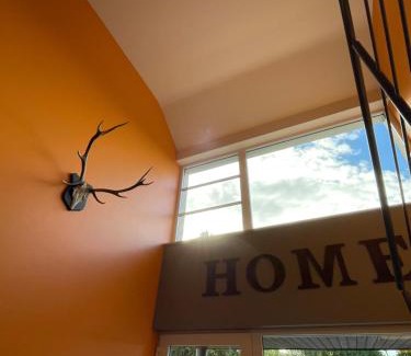 Florenville House | Pet-Friendly Gîte du Daguet - Guest Rated 10/10 Experience