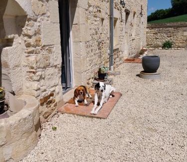 Dange-Saint-Romain Bed & Breakfast | Oceanfront Oasis at Le Domaine de Bella – Rated 9.4/10