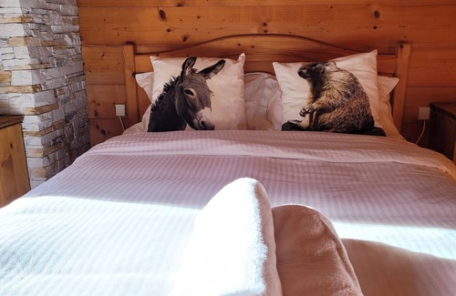 La Chapelle-d'Abondance House | Discover Family-Friendly Comfort at Le Féto Hotel