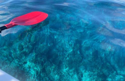 Teahupoo House | Le Fare de Raiatea l'île sacrée