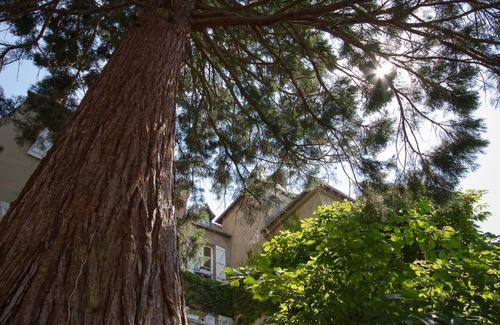 Chateauroux House | Unforgettable Stay at Le Fassardy - Top-Rated Guest House
