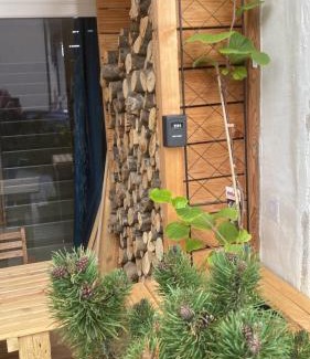 Gimel House | Pet-Friendly Retreat at Le Fort - Rated 10/10 by Guests