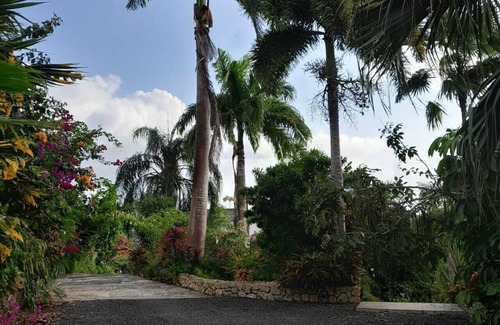 Le Gosier Villa | Discover Le Gîte D'Andréas: Pet Friendly with Pool Access