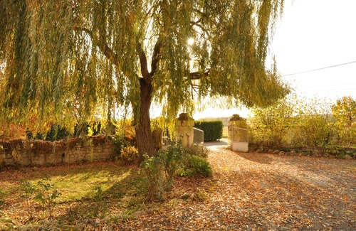 Allonnes House | Discover Le gîte de Russé: Country House by Vineyards