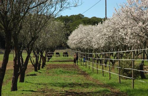 Lunel-Viel House | Discover Le Gîte des écureuils: Guest Rated 8.7/10