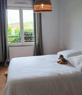 Pont-a-Mousson Apartment | Discover Le gîte des Prémontrés: Pet & Child Friendly Stay