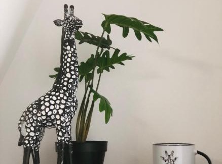 Louviers House | Top-Rated Gîte de la Girafe in Louviers City Center