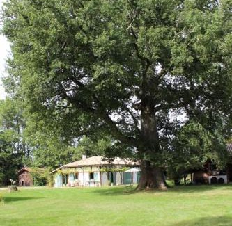 Luglon House | Inviting Stays at Le Gite de Marquin with Pool Amenities