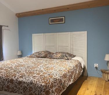 Sainte-Foy-Saint-Sulpice House | Relaxing Loft with Private Spa and Hot Tub Awaits You