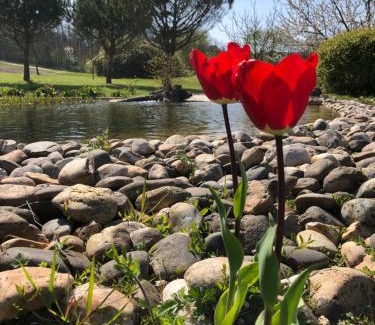 Saint-Leon House | Experience Le Hameau des Coquelicots with Ocean View & Pool
