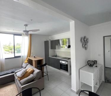 Remire Montjoly Apartment | Le Havre: Oceanfront Retreat with Pool and Forest Escape