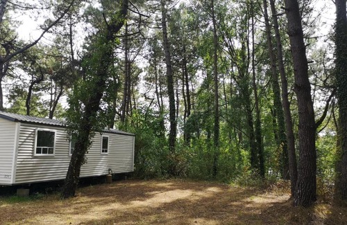 Camiers Other | Relax at LE ILÔ - Camping la Dune Blanche with Ocean Views