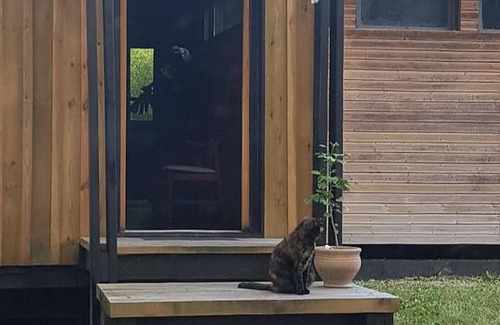 Saint-Vivien-de-Medoc House | Elegant Stay at Le Lucat: Villa Scandinave Awaits You