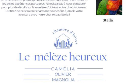 Brugelette House | Perfect Family Retreat at Le Mélèze Heureux - 10/10 Rated