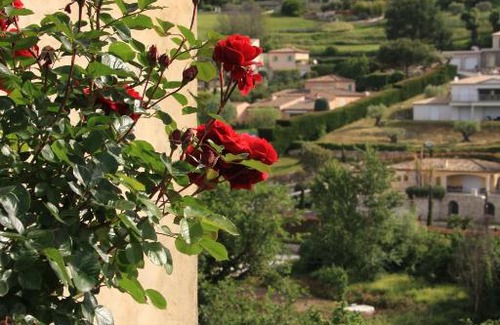 Saint-Paul-de-Vence House | Discover Le Mas des Amandiers: Pet-Friendly Pool Retreat