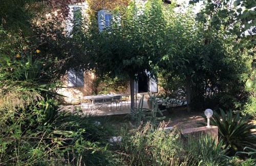 Les 3 Ponts Bed & Breakfast | Discover Le Mas des Oliviers Nîmes: Pet Friendly Retreat