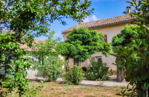 Brens House | Le Mazet de Pendaries - Jardin - Gaillac