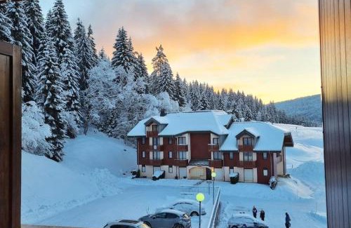 Mijoux Apartment | Experience Comfort at Le Montagnard - Child Friendly Stay