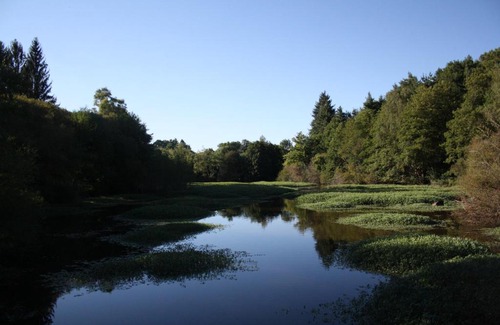 Champniers-et-Reillac House | Pet-Friendly Retreat at Le Moulin de la Chabroulie