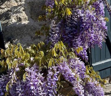Meymac Bed & Breakfast | Experience Oceanfront Bliss at Le Moulin des Farges