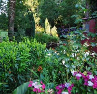 Lassy Bed & Breakfast | Pet-Friendly Retreat at Le Moulin du Bignon - Rated 9/10