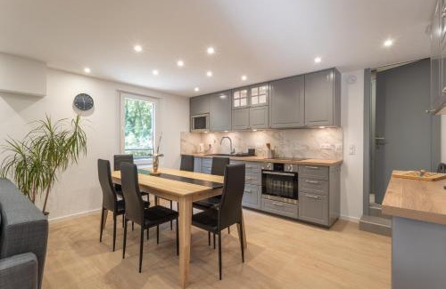 Viry Apartment | Le Moulin paradis entre Genève&Annecy