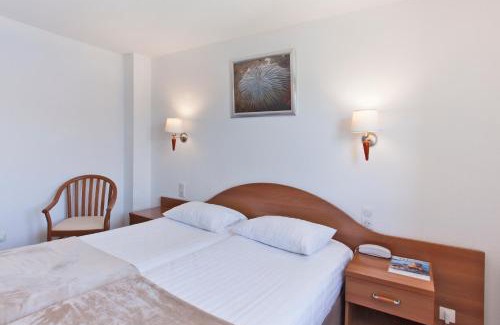 Propriano Hotel | Relax at Le Neptune & Spa: Pet-Friendly with Great Amenities