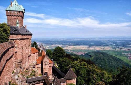 Selestat Apartment | Tranquil Retreat at Le nid des Pruniers with Private Parking