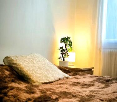 Sud Apartment | Discover Le Nid Provençal: Family and Pet Friendly Retreat