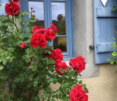 Montsegur Bed & Breakfast | Explore Family-Friendly Comfort at Le Pèlerin