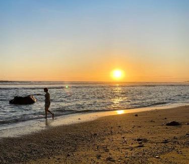 Saint-Leu Apartment | Unforgettable Stay at Le Pétrel Bleu by Tortues Beach