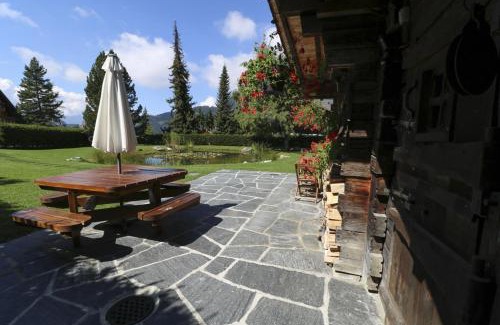 Villars-sur-Ollon Ski Chalet | Explore Le P'ti Tzi-Mé: Family & Pet-Friendly Retreat