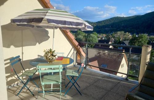 Kaysersberg-Vignoble Apartment | Le panorama - Appartement meublé 5 pièces cuisine salle de bain