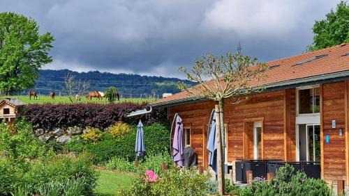 Cornier House | Le Paradis: Oceanfront BNB with Pet-Friendly Amenities
