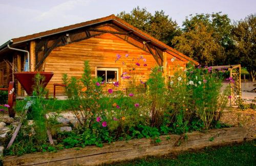 Cornier House | Le Paradis: Oceanfront BNB with Pet-Friendly Amenities
