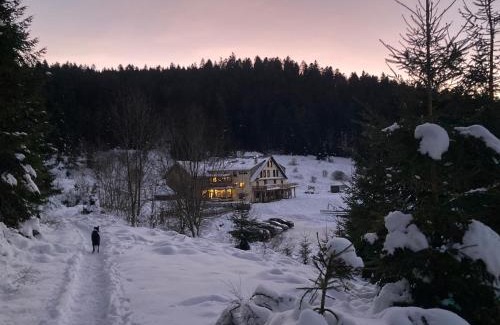 Le Grand Valtin Apartment | Pet-Friendly Le Perchoir: Oceanfront Retreat in Valtin