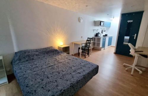 Avesnes-sur-Helpe Apartment | Charming Garden Studio with Private Terrace - Le Petit Château