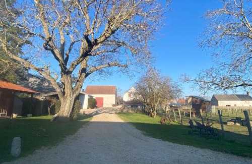 Josnes House | Cozy Farm Retreat with Pool and Family-Friendly Vibes