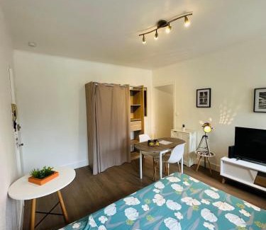 Charleville-Mezieres Apartment | Discover Le Petit Gambetta: Budget-Friendly Stay Awaits