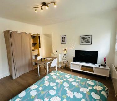 Charleville-Mezieres Apartment | Discover Le Petit Gambetta: Budget-Friendly Stay Awaits