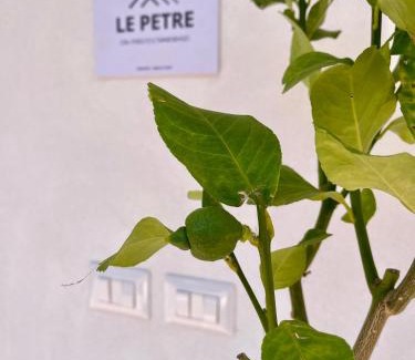 Tramonti Apartment | Le Petre - Amalfi Coast Apartments