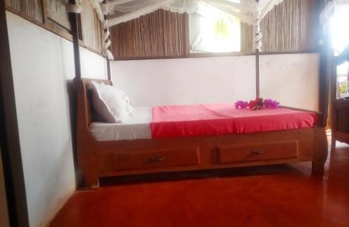 Nosy Boraha Other | Le pied dans l'eau