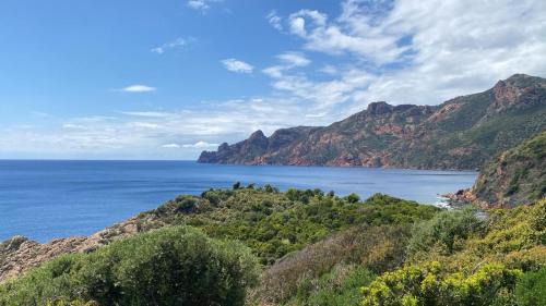 Porto Apartment | Oceanfront Le Porto T3: Panoramic Views and Pet Friendly