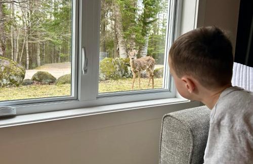 Mont-Tremblant Apartment | Family-Friendly Retreat: Le Rétro Shack in Mont-Tremblant