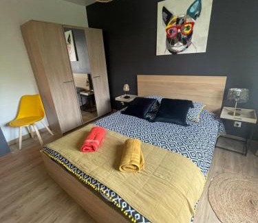 Quartier Saint-Leon Apartment | Cozy Le Refuge Colmarien: Ideal for Families and Pets