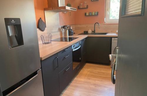 Quartier Saint-Leon Apartment | Cozy Le Refuge Colmarien: Ideal for Families and Pets