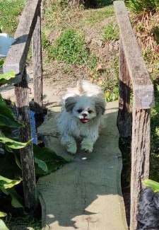 Portbail House | Cozy Le Relais de la Comté: Oceanfront with Pet-Friendly Perks