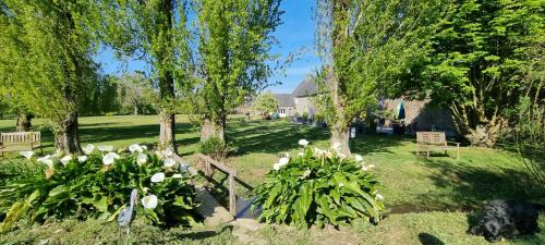 Portbail House | Cozy Le Relais de la Comté: Oceanfront with Pet-Friendly Perks